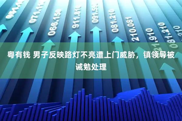 粤有钱 男子反映路灯不亮遭上门威胁，镇领导被诫勉处理